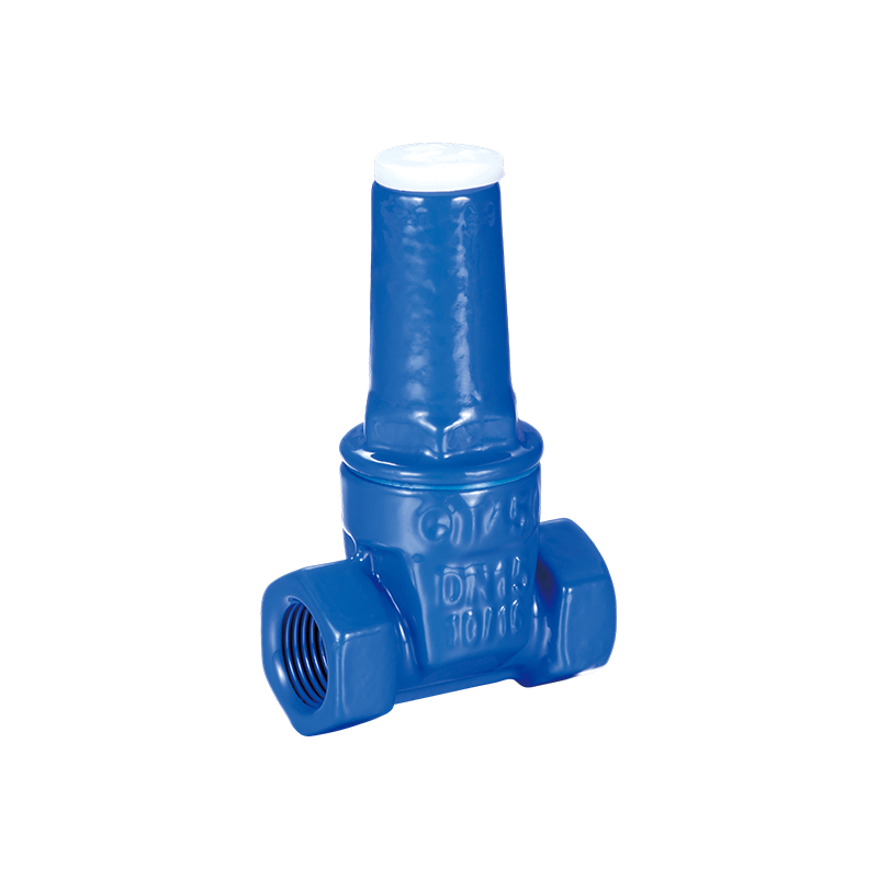 YH-1003 Mechanische anti-diefstal nudulair gietijzeren zachte afdichting schuifafsluiter